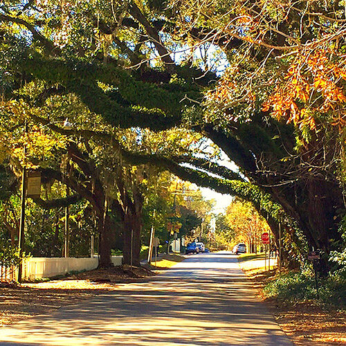 Historic Downtown Covington, Louisiana