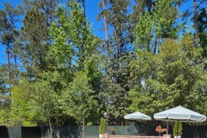 Custom Swimming Pool Construction in Mandeville by West Custom Pools Custom saltwater swimming pool and hot tub by West Custom Pools in Meadowbrook Subdivision in Mandeville (on Spanish Moss Court)